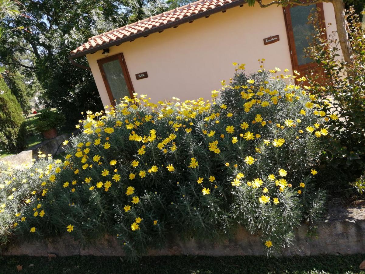Il Podere Di Sole ロッカストラーダ エクステリア 写真