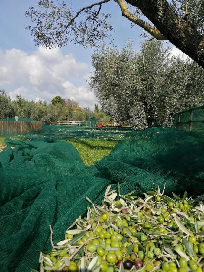 Il Podere Di Sole ロッカストラーダ エクステリア 写真