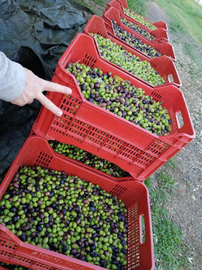 Il Podere Di Sole ロッカストラーダ エクステリア 写真