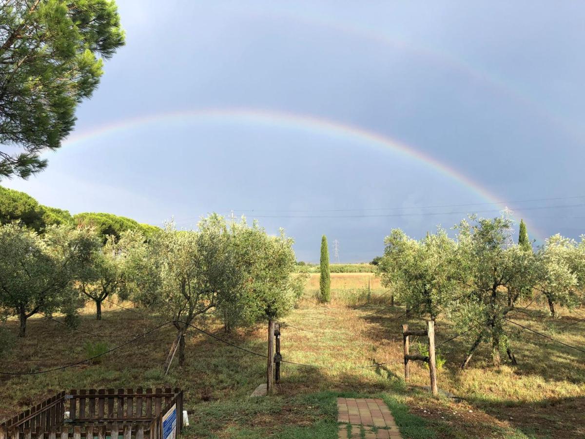 Il Podere Di Sole ロッカストラーダ エクステリア 写真
